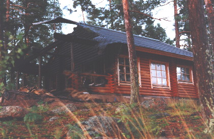 Brand.jpg (57698 bytes)